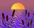 sunrise_over_pond_md_clr.gif